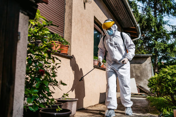 Best Pest Prevention Services  in Walnut Grove, CA