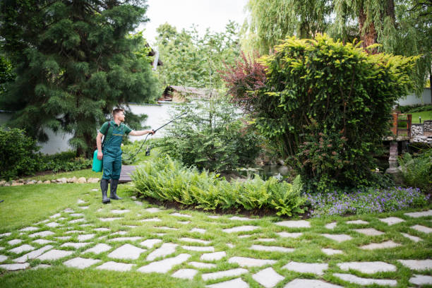 Professional Pest Control in Walnut Grove, CA