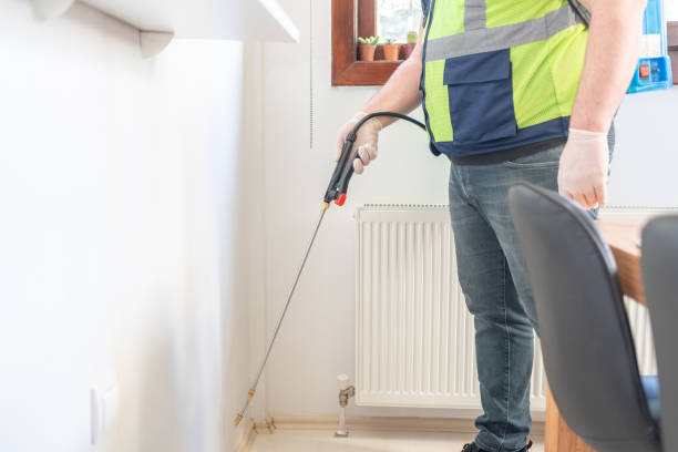 Best Wasp Removal Services  in Walnut Grove, CA